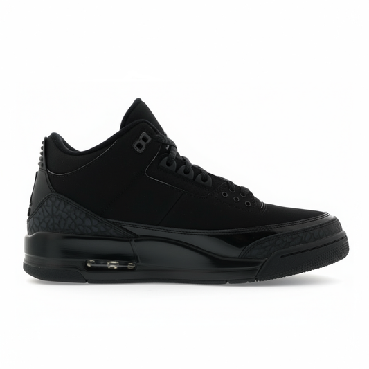 Jordan 3 Retro Black Cat (2025) Sneakable